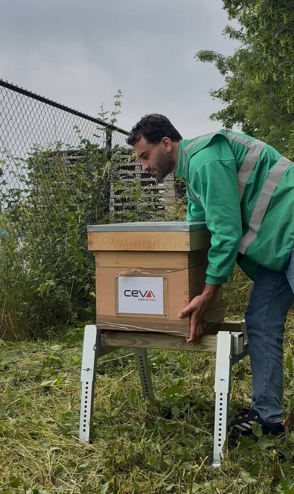 Foto uit de bijenstal van Holland Bijen 1